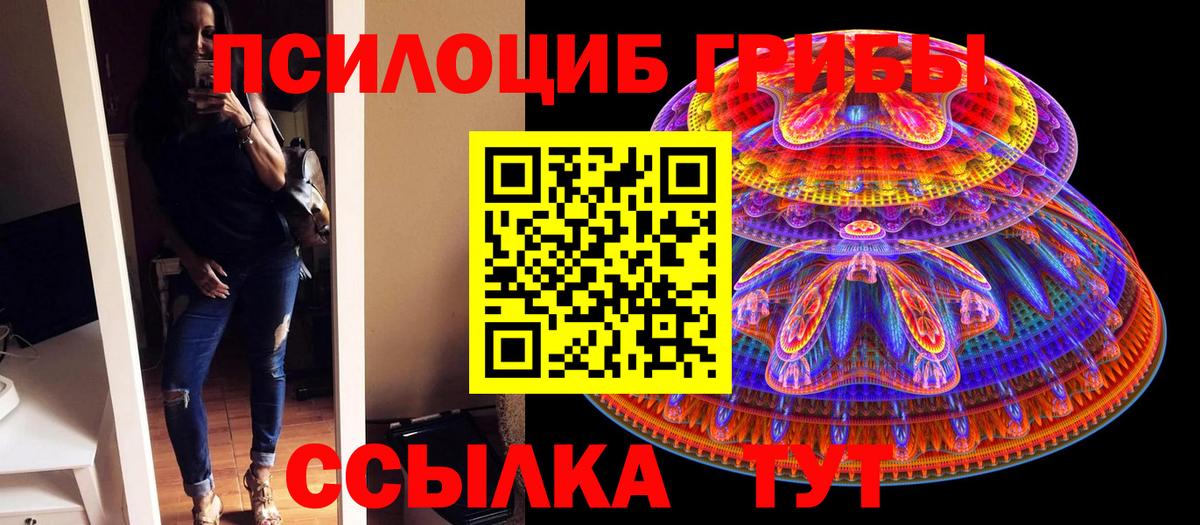 Галлюциногенные грибы Psilocybine cubensis  Вход с VPN  Каспийск  Галлюциногенные грибы мицелий 